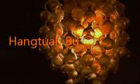Hangtuah Buka Jalur Khusus Rekrutmen dari Liga Pelajar 