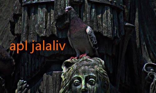 apl jalalive-Jadwal Lengkap Liga 1 2025: Pertandingan yang Wajib Ditonton