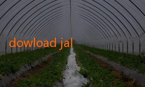 dowload jalalive-Bali United Siap Tancap Gas di Musim Mendatang dengan Strategi Perkuat Lini Tengah