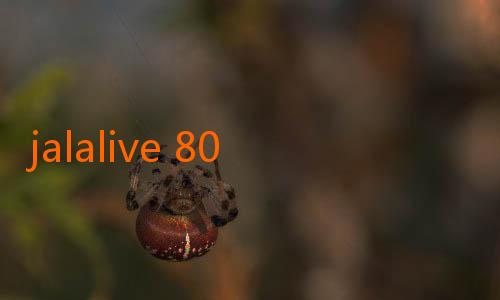 jalalive 808 live streaming-Strategi Baru Persija Jakarta Sambut Musim Liga 1 2025: Menatap Masa Depan dengan Inovasi dan Semangat Baru